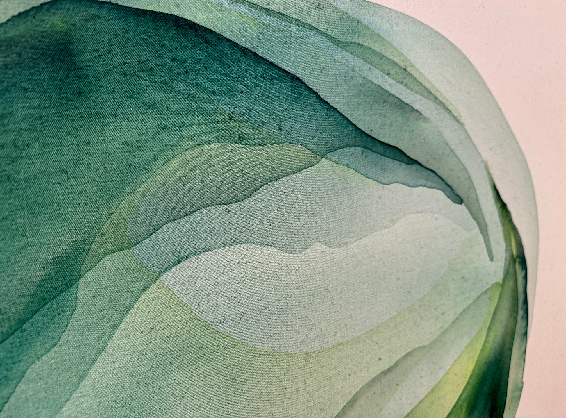 Seed